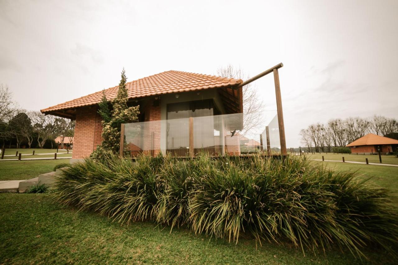 Vira Charme Resort Fernandes Pinheiro Exteriör bild